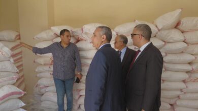 تنمية المشروعات