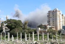وزير الثقافة