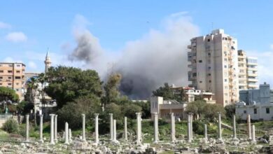 وزير الثقافة