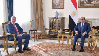 السيسى