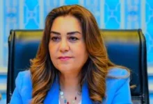 الشقق