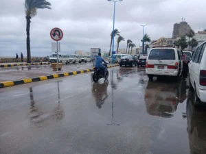 الإسكندرية 