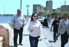 حملات