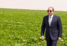 إنجاز