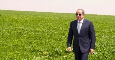 إنجاز