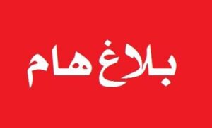 بلاغ ضد صفحات بتهمة تسريب تحقيقات قضية طالبة تجارة طنطا