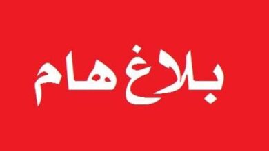 بلاغ ضد صفحات بتهمة تسريب تحقيقات قضية طالبة تجارة طنطا