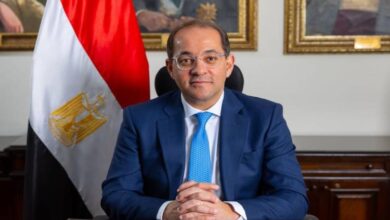 وزير المالية