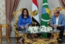 محافظ المنيا