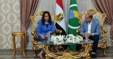 محافظ المنيا