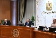 وزير التخطيط