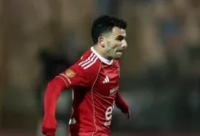 محامي زيزو