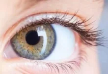 عدسة العين