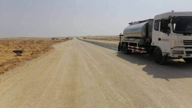 وزيرة الإسكان