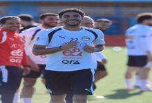 رضا شحاتة
