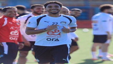 رضا شحاتة
