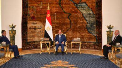 الرئيس السيسي