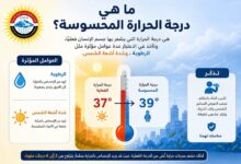 الأرصاد الجوية