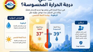 الأرصاد الجوية