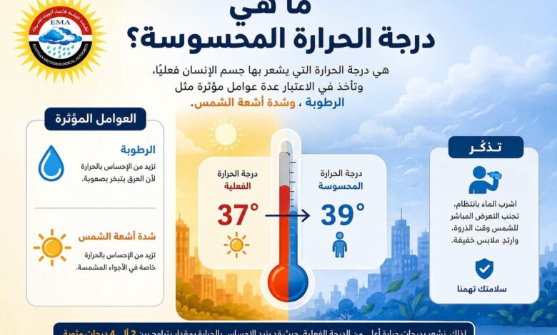 الأرصاد الجوية