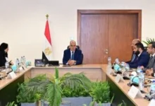 مشروعات