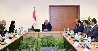 مشروعات