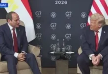 الرئيس السيسى