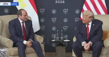 الرئيس السيسى