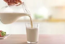 اللبن الرائب