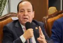 حماة الوطن