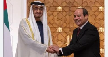 الرئيس