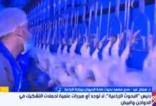 البحوث الزراعية