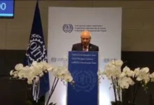 ممثل الكيان