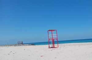 العريش 