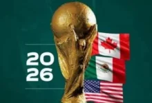 فيفا
