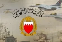 قوة دفاع