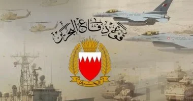 قوة دفاع
