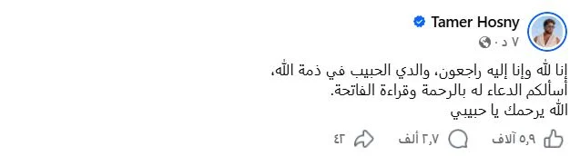 تامر حسني