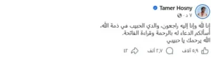تامر حسني