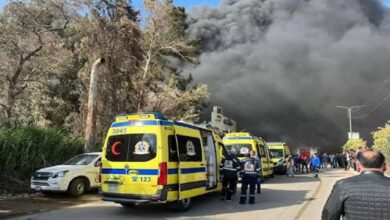 وزيرة التضامن