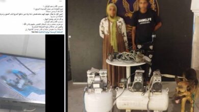 ضبط المتهمين