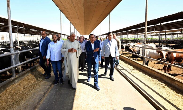 رئيس الوزراء