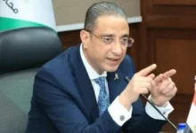 محافظ الجيزة