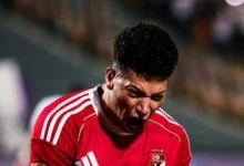 إمام عاشور