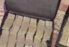 فرص عمل