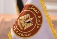 الحماية الاجتماعية