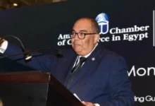 محمود محيي الدين