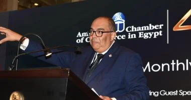 محمود محيي الدين