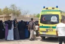 مبيد حشري