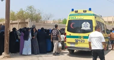 مبيد حشري